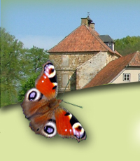 FeWo-Schtte